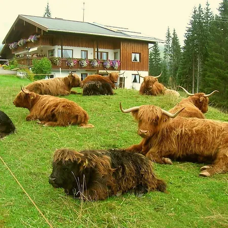 Lägenhet Berghof-felder-kleinwalsertal