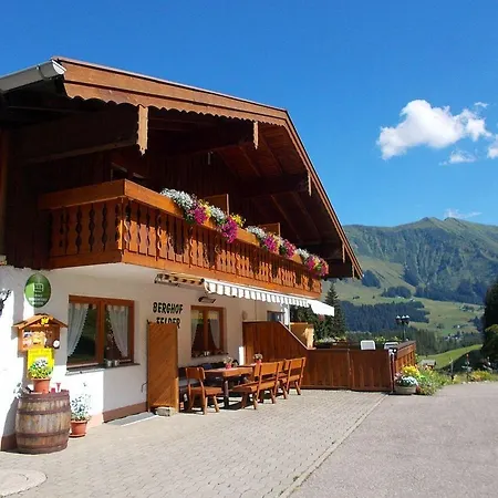 Lägenhet Berghof-felder-kleinwalsertal *