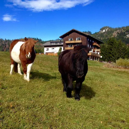 Berghof-felder-kleinwalsertal Lägenhet Riezlern