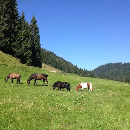 Berghof-felder-kleinwalsertal Lägenhet *