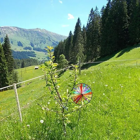 Berghof-felder-kleinwalsertal Riezlern